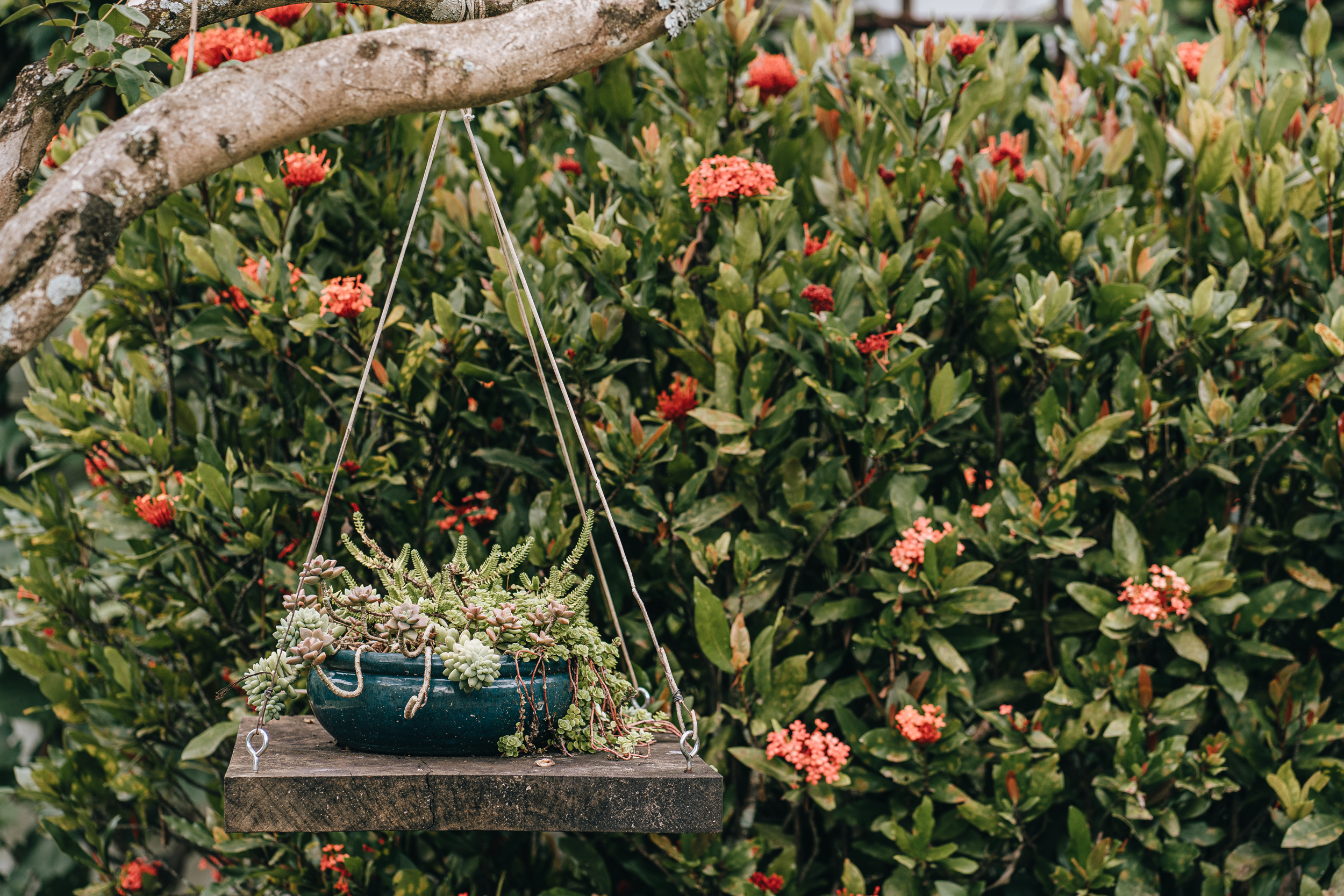 Jardim Pousada 4 Irmãos